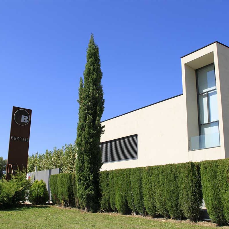 Viñedos de Somontano - Bodega Otto Bestué